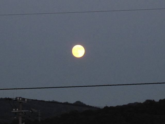 b0184703_18433894.jpg