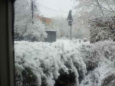 f0154805_23181025.jpg