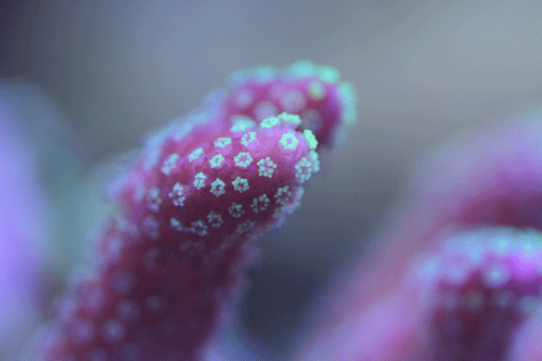 b0240608_20591210.gif