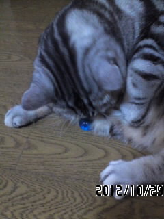 b0274908_2043530.jpg