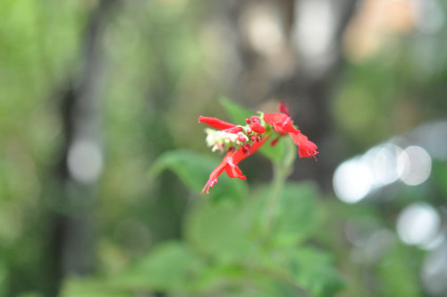 f0188408_16335270.jpg