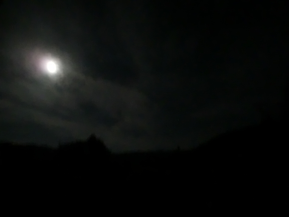 d0237309_2317279.jpg