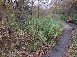 c0173813_222054.jpg