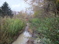 c0173813_2221886.jpg
