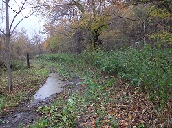 c0173813_2224717.jpg