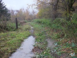 c0173813_2233964.jpg
