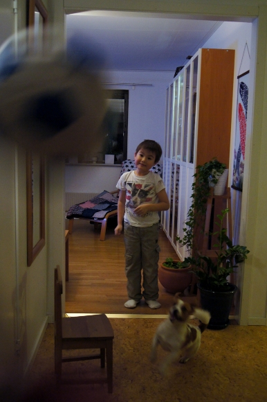 d0241813_4564396.jpg