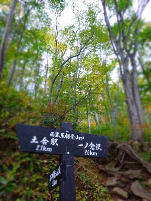 a0236914_13192963.jpg