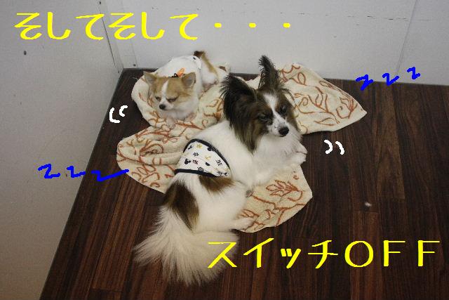 気持ちよさそ～に♪_b0130018_1254089.jpg