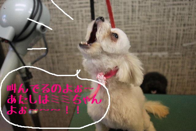 気持ちよさそ～に♪_b0130018_1282942.jpg