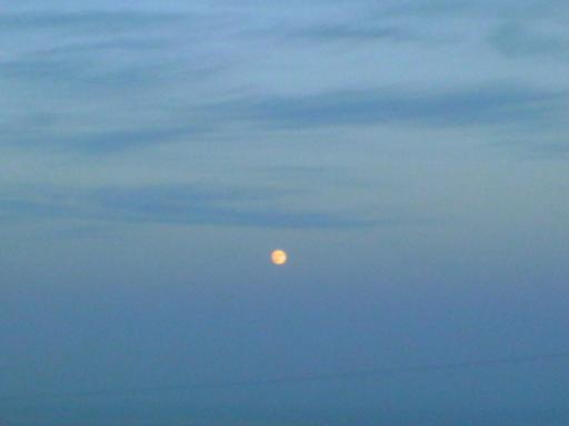 c0097620_19495824.jpg