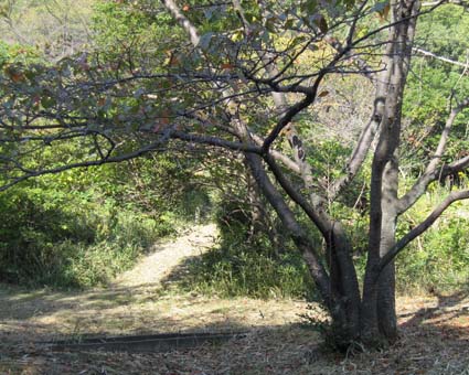 a0219423_04436.jpg