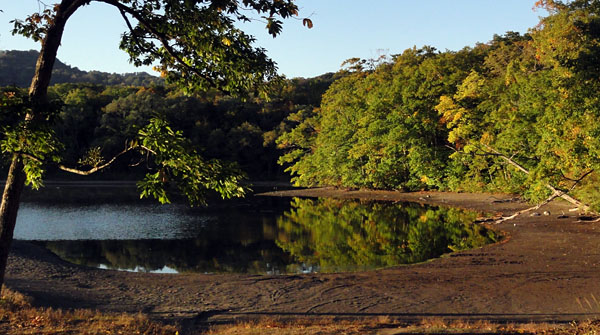 e0089826_23609.jpg