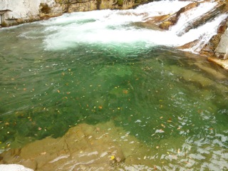 f0235026_04124.jpg