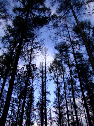 「JALPAK北海道2012 美しい美味しい北海道」_a0000029_12293532.jpg