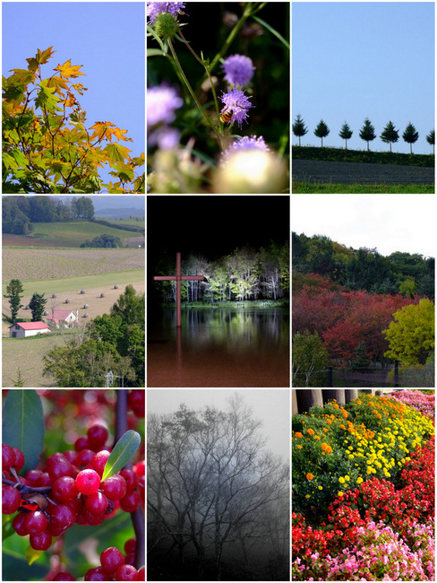 「JALPAK北海道2012 美しい美味しい北海道」_a0000029_12592248.jpg
