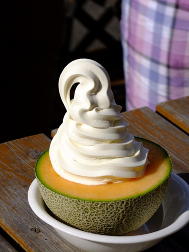 「北海道2012　ポプラファーム サンタのひげ　メロンソフトクリーム」_a0000029_1723524.jpg