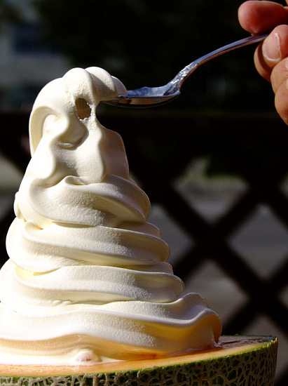 「北海道2012　ポプラファーム サンタのひげ　メロンソフトクリーム」_a0000029_17264838.jpg