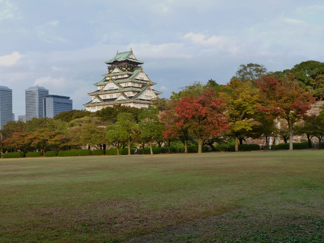 駆け足で鳥見～_c0107231_1735994.jpg