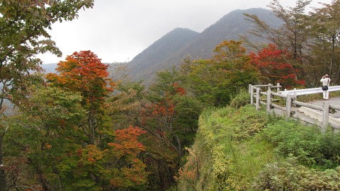 2012.10.27　楽水楽山_e0202031_22234941.jpg