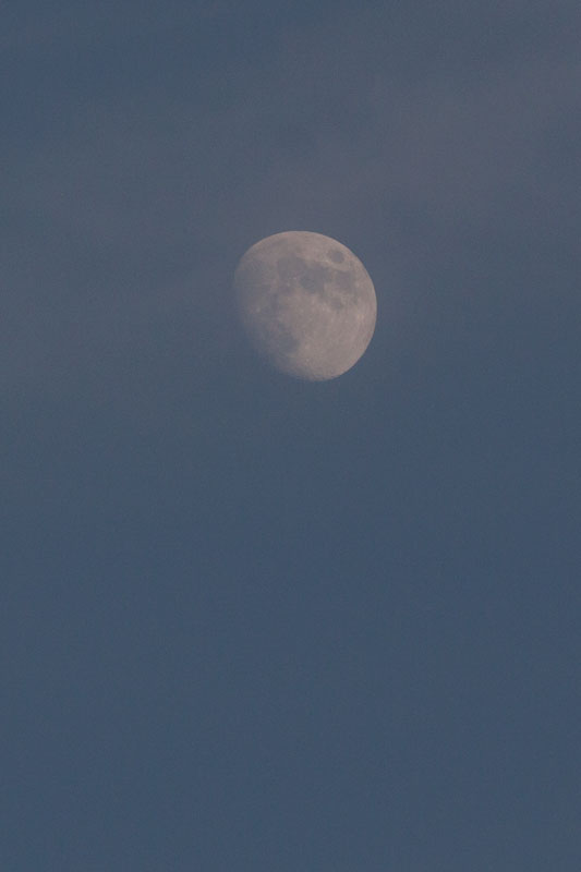 b0177233_50175.jpg