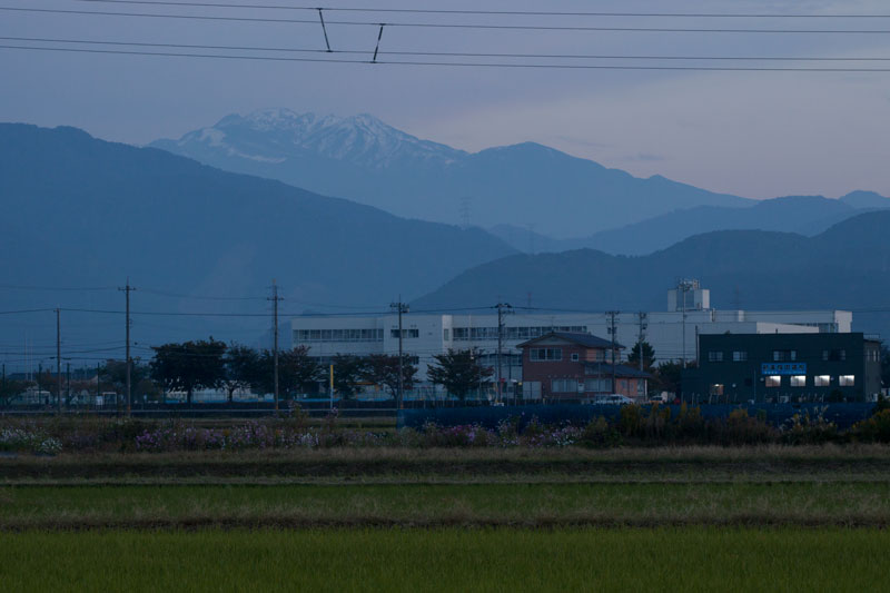 b0177233_55117.jpg