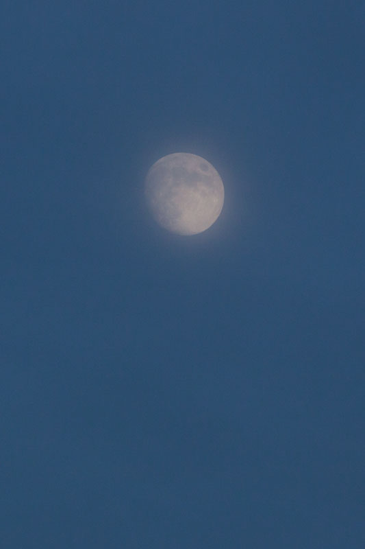 b0177233_57692.jpg