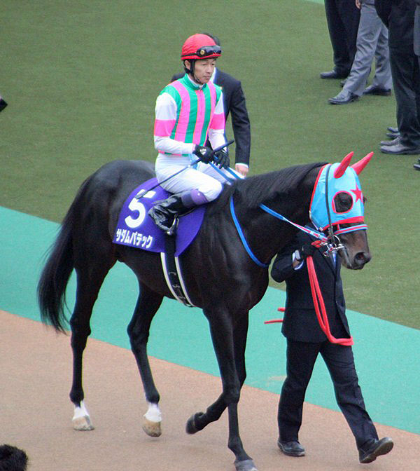 天皇賞20012　天覧競馬２。_a0009035_10562019.jpg