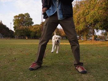 a0253436_20391569.gif