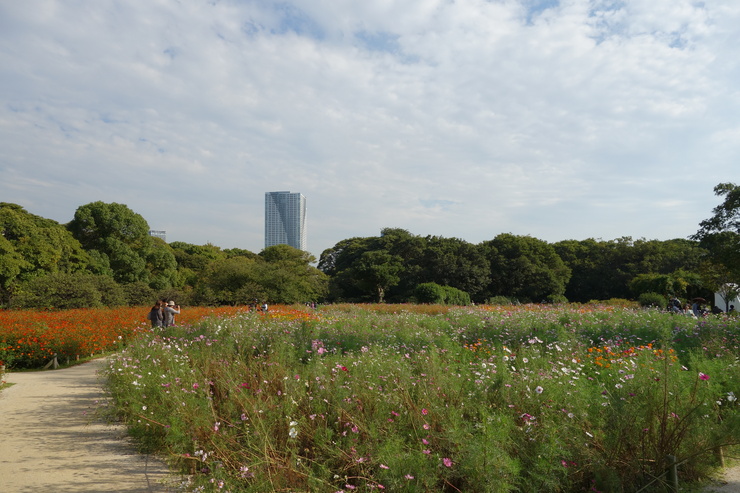 a0287336_12545871.jpg