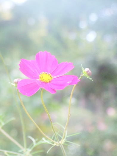 雨の日曜日_b0089338_0573647.jpg