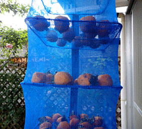 a0056140_17512350.gif