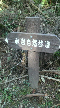 e0246241_139130.jpg