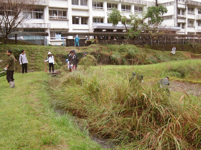 『牟岐中学校校舎裏』の『とんぼ公園』にて！！(●^∨^)○Ο_a0280142_1629554.jpg