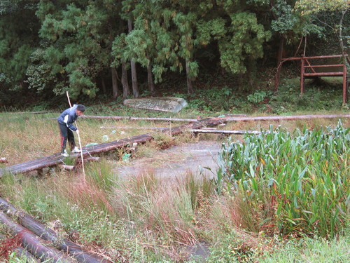 『牟岐中学校校舎裏』の『とんぼ公園』にて！！(●^∨^)○Ο_a0280142_1636638.jpg