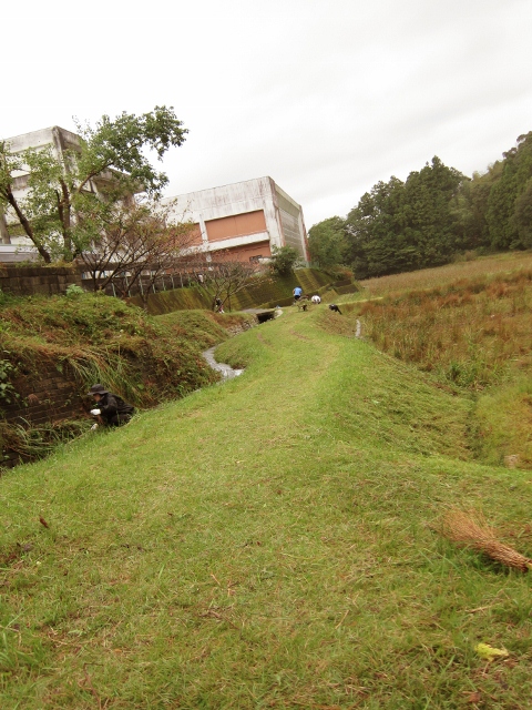 『牟岐中学校校舎裏』の『とんぼ公園』にて！！(●^∨^)○Ο_a0280142_16525828.jpg