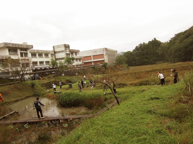 『牟岐中学校校舎裏』の『とんぼ公園』にて！！(●^∨^)○Ο_a0280142_17738.jpg