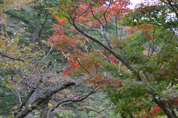 c0202242_16202854.jpg