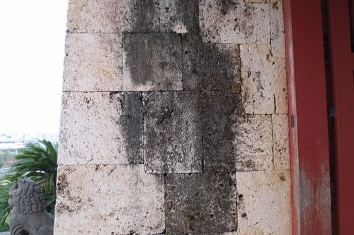 e0253742_03882.jpg