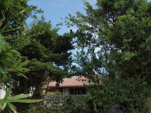 e0253742_08810.jpg