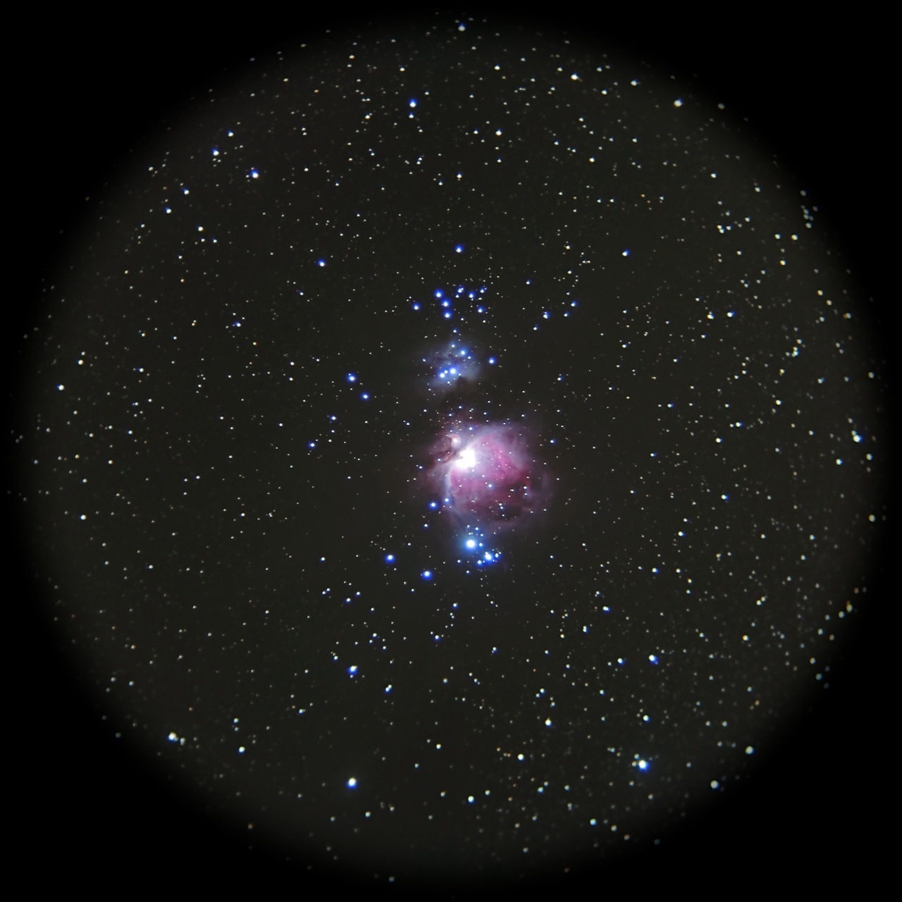 b0167343_311259.jpg