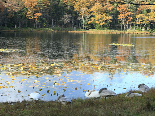 c0023443_17434327.jpg