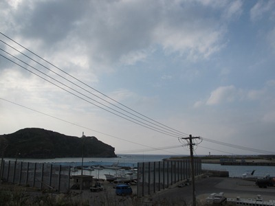 10月 29日 メ~&ニャ~_b0158746_17133886.jpg