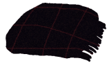 c0128652_1602383.png