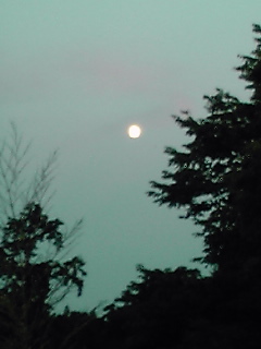a0245055_23204731.jpg