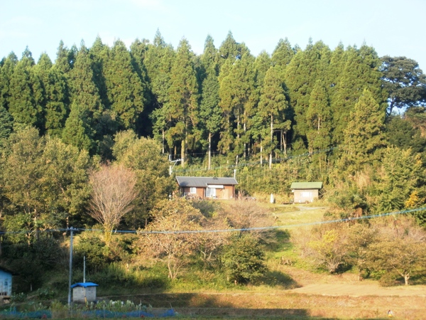 「天使の舞い降りる丘」全景です♪_a0174458_034242.jpg