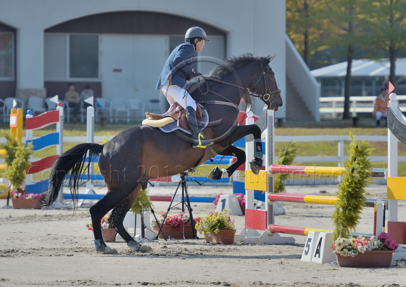 第37回兵庫県親善馬術大会(Ⅱ)障害飛越競技会　Vol.2_a0111162_16241336.jpg