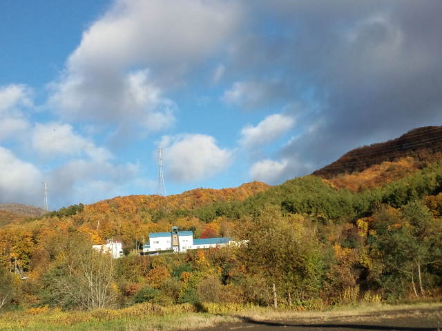 d0098665_17375919.jpg