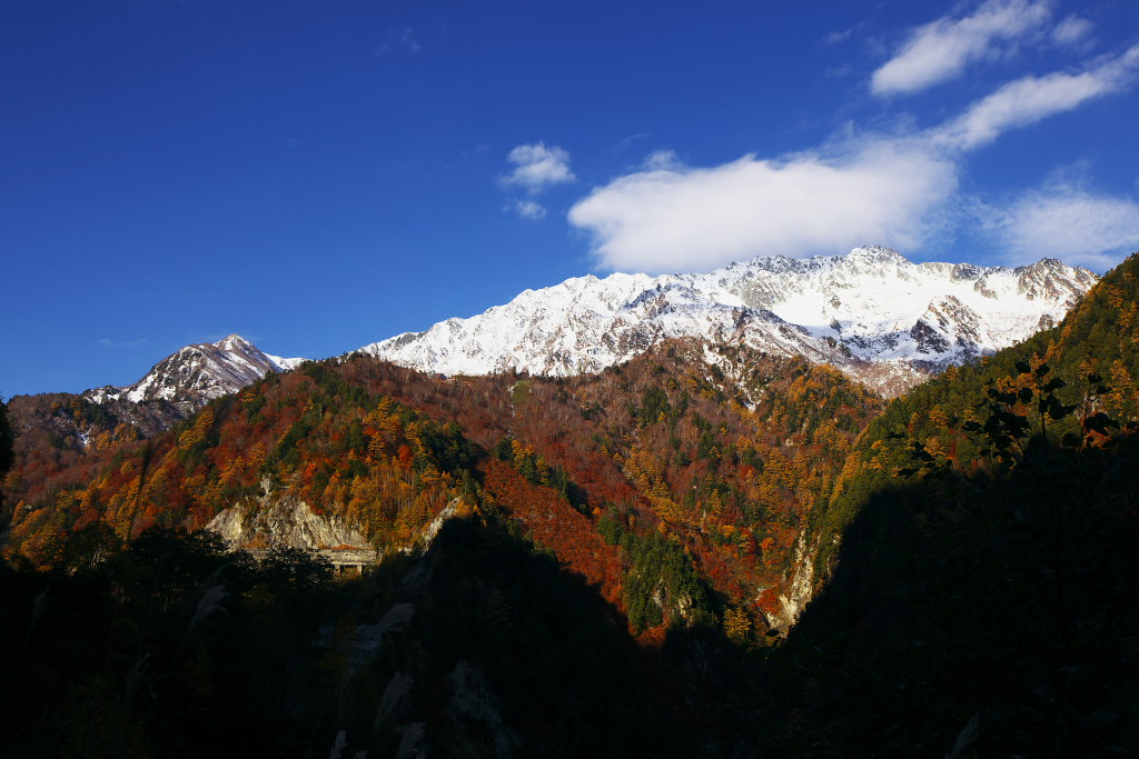 f0171065_2325386.jpg