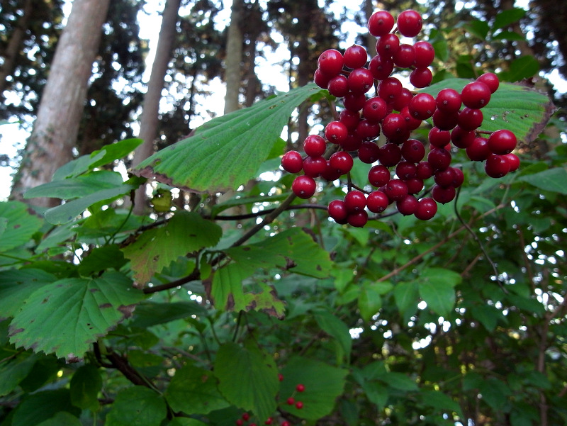 b0130166_21172918.jpg
